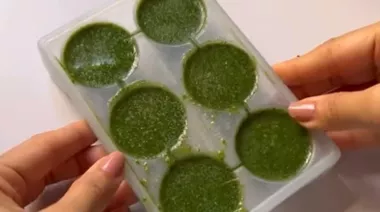 Frozen chaas cubes made with herbs and spices in an ice tray